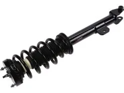 API - Front Left Driver Side Strut And Coil Spring Assembly - 2009 - 2010 Dodge Challenger 5.7L V8 - D0165-K765856