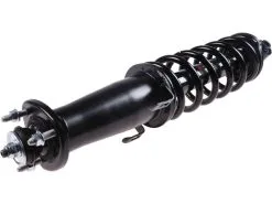 API - Rear Strut And Coil Spring Assembly - 2006 - 2013 Lexus IS250 RWD - D0168-H195193