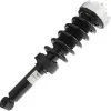 Unity - Rear Strut And Coil Spring Assembly - 2004 - 2017 Volkswagen Touareg (Excludes Models With Air And Electronic Suspension) - 15240